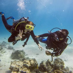 Diving In Redsea (Hurghada)