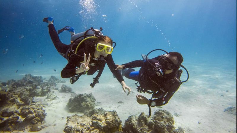 Diving In Redsea (Hurghada)