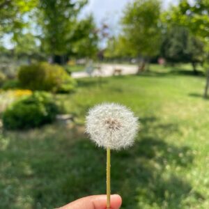 လူတွေအများကြီးနဲ့ တွေ့ကြည့် သိကြည့် .. ခင်မင်ကြည့်တာ မမှားပါဘူး ..