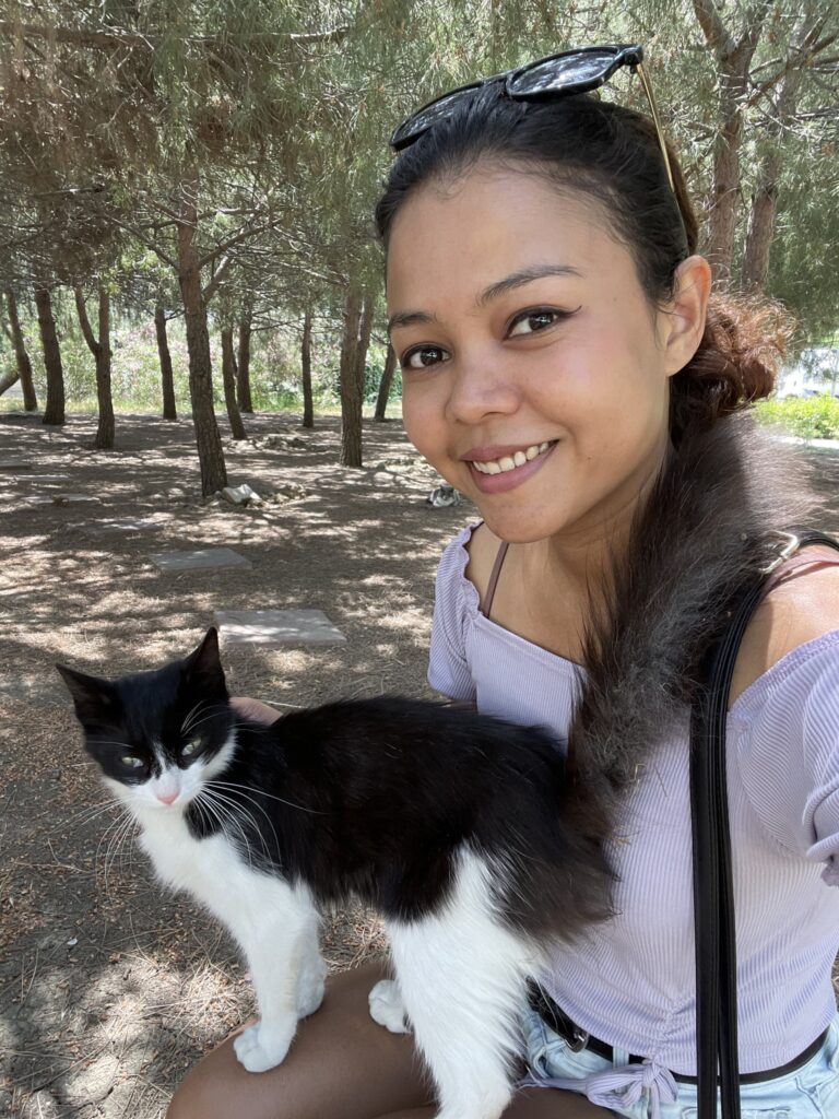 Cats in Istanbul