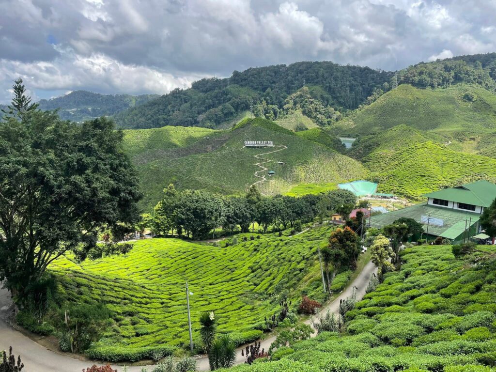Malaysia evisa ကိုယ်တိုင်ဘယ်လိုလျှောက်မလဲ ..
