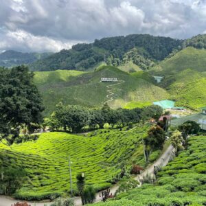 Malaysia evisa ကိုယ်တိုင်ဘယ်လိုလျှောက်မလဲ ..