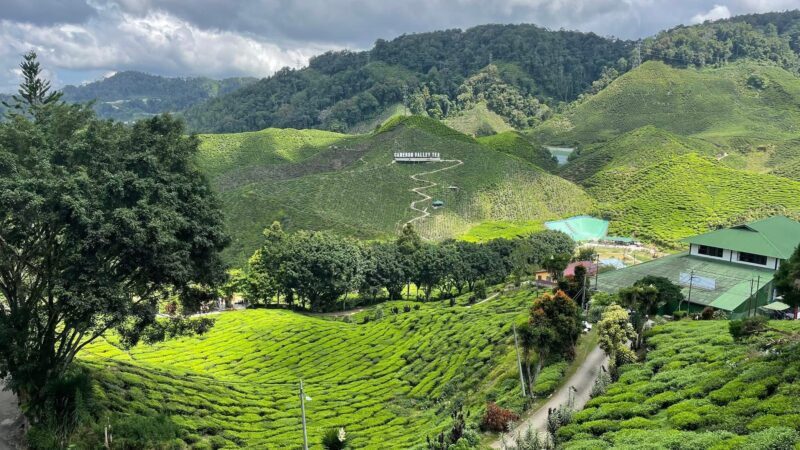 Malaysia evisa ကိုယ်တိုင်ဘယ်လိုလျှောက်မလဲ ..