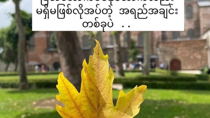 ကိုယ့်အတွက် အဆိပ်သင့်စေတဲ့ relationship မျိုးကို ဖြတ်တောက်ပစ်နိုင်တာကလည်း မရှိမဖြစ်လိုအပ်တဲ့ အရည်အချင်းတစ်ခုပဲ ..