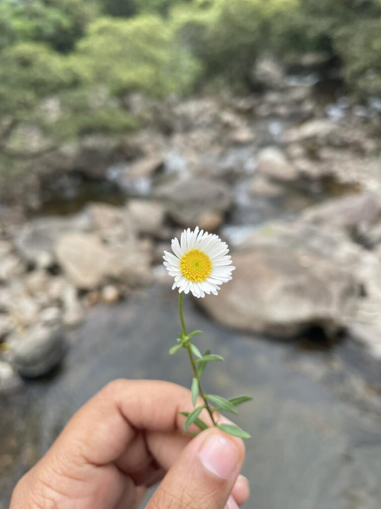 ဘယ်အရာပဲဖြစ်ဖြစ် လုပ်ကြည့်လိုက်လို့ အရှုံးမရှိဘူး