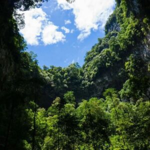 phong nha , Vietnam