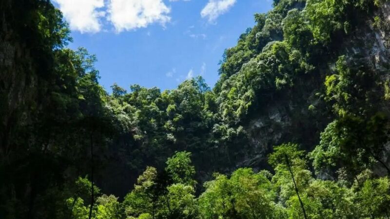 phong nha , Vietnam